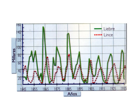 Grafico liebres